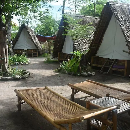 Neverland Hotel